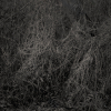 syksy_1