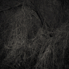 syksy_2