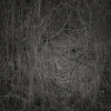 syksy_3b
